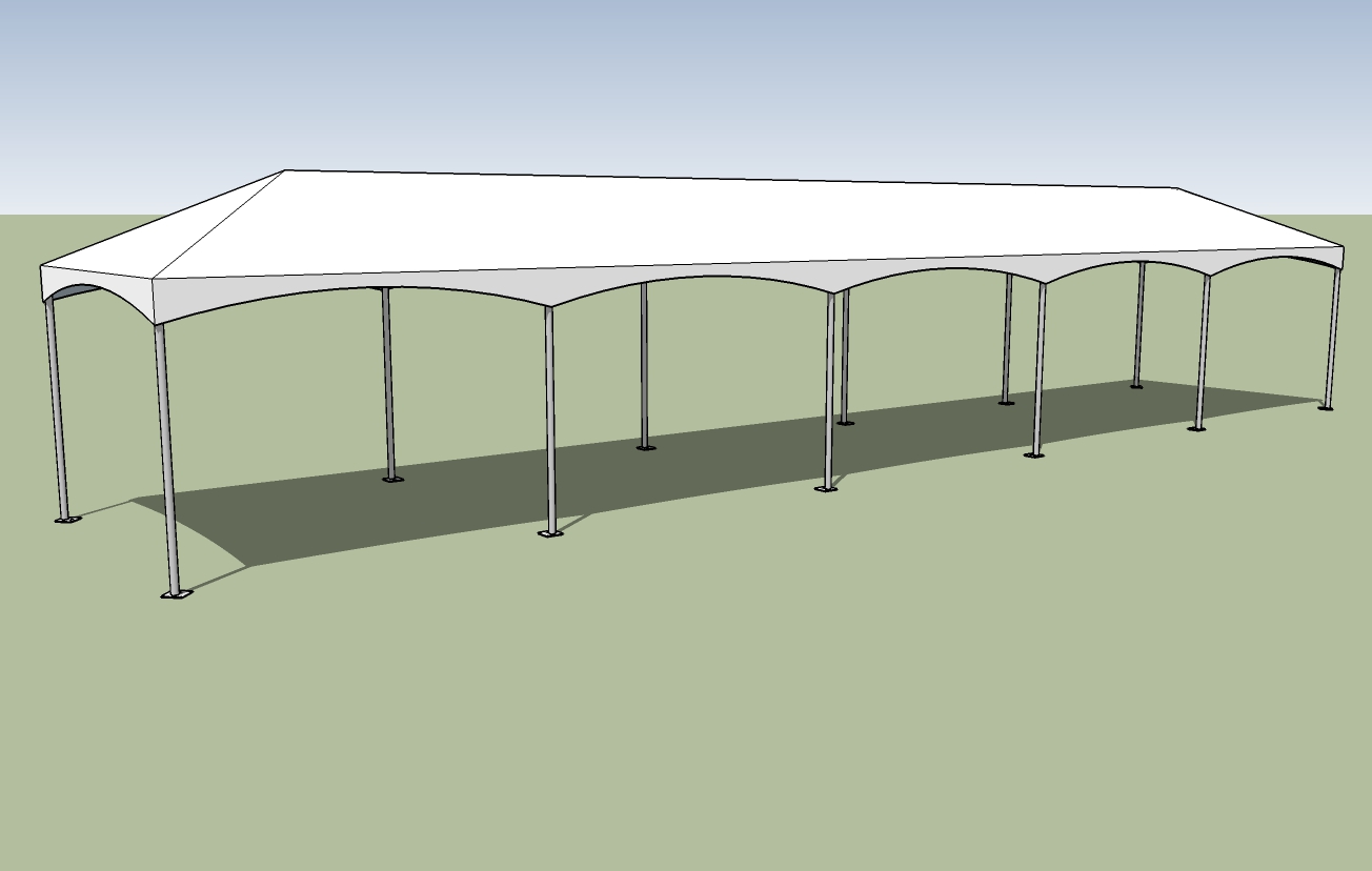 10x50 party tent